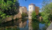 Randonnée Marche Niort - Balade découverte Niort - Photo 6