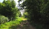Trail Walking Rethondes - en forêt de Laigue_8_06_2020_les Routes des Bonshommes, de la Trouée des Bonhommes_Route forestière de Sainte-Croix - Photo 4