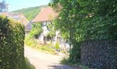 Trail Walking Assesse - Sart Bernard 010725 - Photo 14