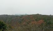 Excursión Senderismo Champeaux - les falaises de Carolles - Champeaux - Photo 17