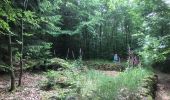 Trail Walking Hultehouse - 2020-06-11 Wasserwald et sentier des bornes - Photo 7