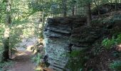 Tour Zu Fuß Gladenbach - [G4] - Rundweg Gladenbach - Reithalle - alter Pflanzengarten - Rachelshausen - Kehlnbach - Kehlnbachtal - Gladenbach - Photo 1