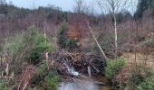 Trail Walking Sainte-Ode - La Vacherie 141221 - Photo 2