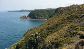 Excursión Senderismo Plévenon - Cap Fréhel - 2017 06 22 - Photo 6