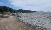 Percorso Marcia Le Vivier-sur-Mer - RA 2023 Cancale - Photo 3