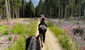 Trail Horseback riding Saint-Romain-Lachalm - Rando Saint-Romain-Lachalm / Riotord - Photo 1