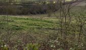 Randonnée Marche Mézidon Vallée d'Auge - St Marie aux Anglais - Photo 5