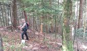 Percorso Marcia Chanay - AIN: COL DE RICHEMONT SUD VIA GR VALROMEY - Photo 1