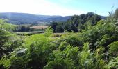 Trail Walking Saint-Martin-du-Puy - Montcrecon -lac de Crescent - Chalaux - 7/2020 - Photo 6