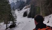 Randonnée Raquettes à neige Abondance - monté lac des plagnes  - Photo 5
