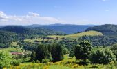 Trail Horseback riding Gerbamont - 2022-06-04 Rando CVA Gerbamont Boucle Foret de Noire Goutte - Photo 2