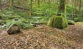 Trail Walking Urmatt - Lutzelhouse - sentier des géants - Photo 4
