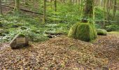 Tour Wandern Urmatt - Lutzelhouse - sentier des géants - Photo 4