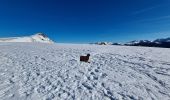 Randonnée Raquettes à neige Murat-le-Quaire - la Banne par le tenon - Photo 14