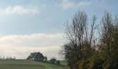 Tocht Stappen Geldenaken - 221114b - Jodoigne, Gobertange, St Remy-Geest, GRP127 (court) - Photo 13