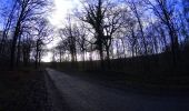 Tocht Mountainbike Ham-sur-Heure-Nalinnes - Ham_sur_Heure_Nalinnes_20220109_082216 - Photo 9