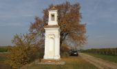 Excursión A pie Gemeinde Poysdorf - 3-Schwestern-Weg - Photo 6