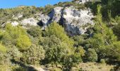 Trail Walking Fontaine-de-Vaucluse - Les Hauteurs de la Fontaine - Photo 11