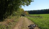 Tocht Te voet Dudelange - Auto-Pédestre Dudelange 2 - Photo 9