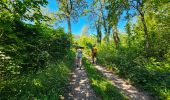 Tocht Stappen Anhée - Marche Adeps à Anhée - Photo 14