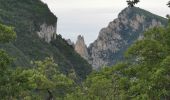 Randonnée Marche Saou - Forêt de Saou  - Photo 14