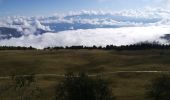 Tocht Stappen Autrans-Méaudre en Vercors - Autrans le 23 09 2020  - Photo 4