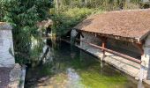 Tour Wandern Dannemois - Le moulin des noues - Photo 2