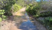 Trail Walking Aramon - aramon - les castillonnes  - Photo 13