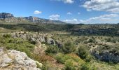 Tour Wandern Cheval-Blanc - Les gorges du Regalon  - Photo 10