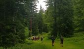 Excursión Senderismo Autrans-Méaudre en Vercors - La grande Breche - Photo 19