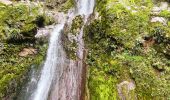 Tour Wandern Saint-Claude - Guadeloupe - Chute du Galion - La Citerne - Photo 11