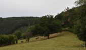 Excursión Senderismo Malmedy - 20200825 - Baugnez 7.2 Km - Photo 4