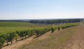 Tour Wandern Pouilly-sur-Loire - Pouilly sur loire 58:rando dans les Vignes  - Photo 6