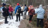 Trail Walking Fontainebleau - croix de Souvray 16 décembre 2022  - Photo 4