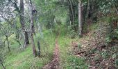 Tour Wandern Plan-d'Aups-Sainte-Baume - Plan d’aups ste beaume - Photo 3