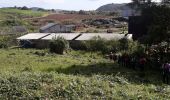 Tocht Stappen Le Robert - Pointe Savane plage des Resignier - Photo 12