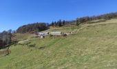 Tour Wandern Krüt - Chapelle S Nicolas Felzach - Photo 3