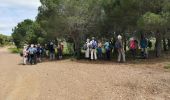 Trail Walking La Londe-les-Maures - De Lalonde-Valcros au dolmen de Gautabry - Photo 3