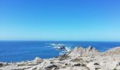 Randonnée Marche Plogoff - pointe du Raz - Photo 6