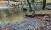 Excursión Senderismo Saint-Hubert - milwart route langs rivier en bos - Photo 15