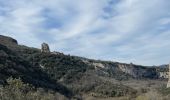 Trail Walking Buoux - PF-Buoux - Sivergues - Le Vallon de l'Aigue Brun - Reco - 25.03.2024 - Photo 6