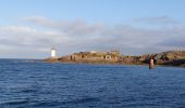 Tocht Stappen Ouessant - OUESSANT - Photo 2