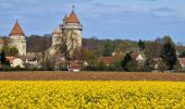 Tocht Stappen Fontainebleau - La rando des 3 chateaux - Parcours 42 km - Photo 10