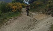 Percorso Mountainbike Fillols - Fillols Goa - Photo 1