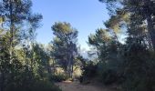Trail Walking Aix-en-Provence - Randonnée des barrages Zola et Bimont - Photo 18