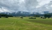 Tour Wandern Osenbach - Mise en jambe. Balade possible avec les enfants  - Photo 5