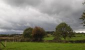 Trail Walking Verviers - petit tour dans la campagne d´Heusy - Photo 3