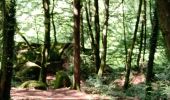 Trail Walking Plaintel - Au bois des Mauriers. N 2 - Photo 2