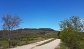 Tocht Noords wandelen Le Bosc - Le Bosc Grandmont Avril 2021 - Photo 19