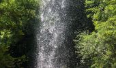 Excursión Senderismo Saint-Vincent-de-Mercuze - Cascades de l’Alloix Montalieu - Photo 3